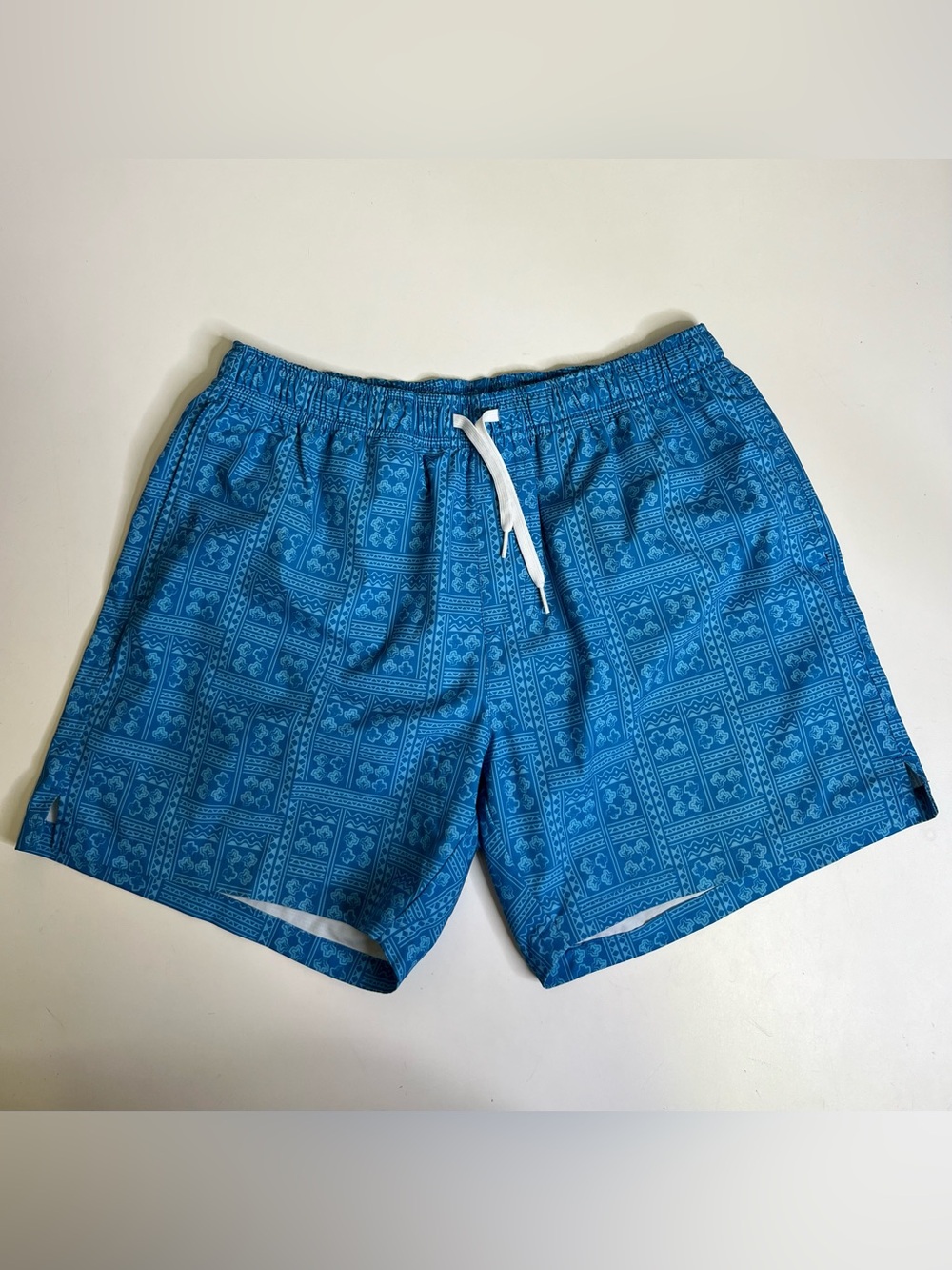 Bearbottom Men's Swim Geo Trunks Lined Blue Striped 5.5” Inseam - Size Large